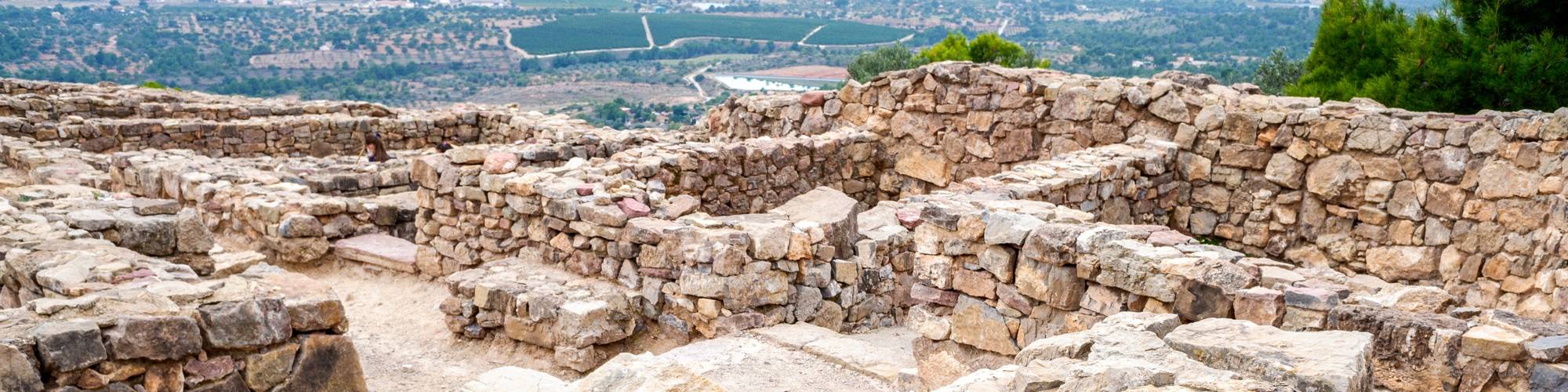 Estudis ibèrics “Domingo Fletcher Valls”